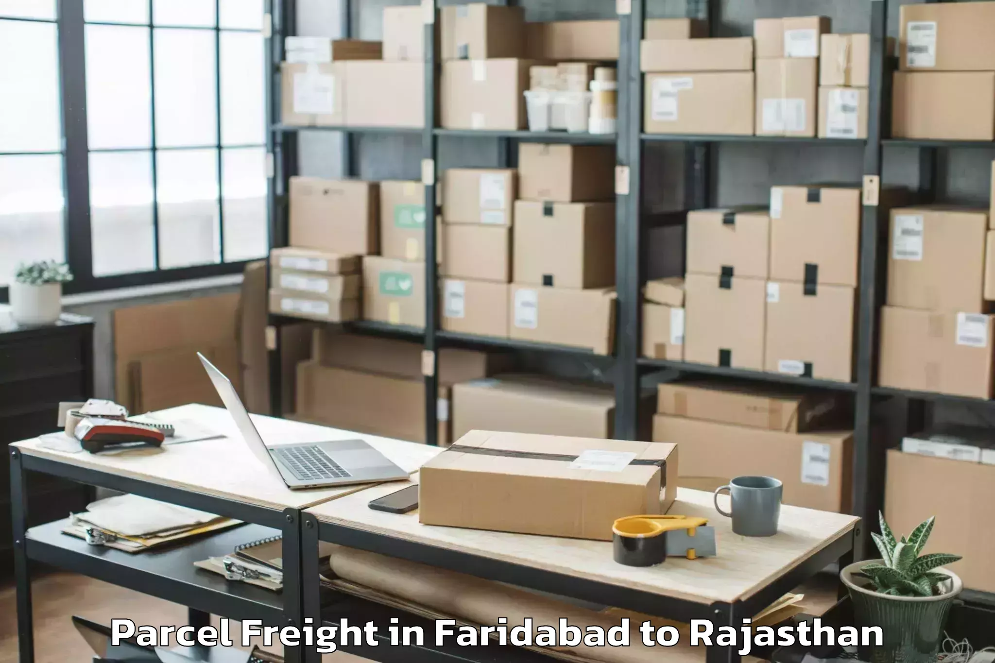 Easy Faridabad to Sawai Madhopur Parcel Freight Booking